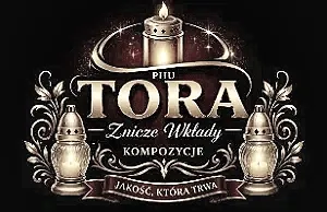 ZNICZE WSCHOWA - PHU TORA - strona główna